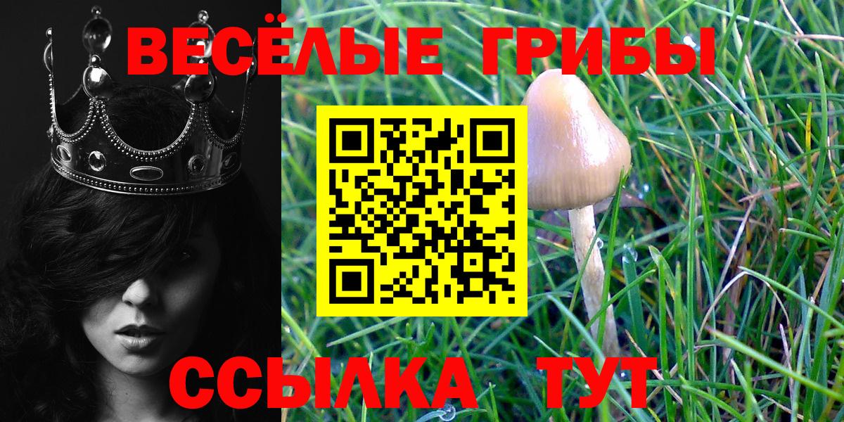 Галлюциногенные грибы Magic Shrooms  Вход с VPN  Новоалтайск 