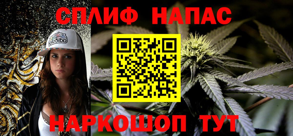 МАРИХУАНА конопля  МАРИХУАНА White Widow  Вход с VPN  Новоалтайск  МАРИХУАНА индика  Бошки марихуана White Widow 